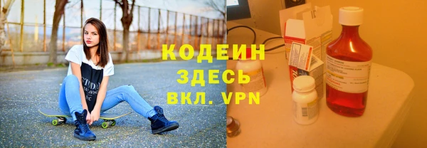 шишки Лабытнанги