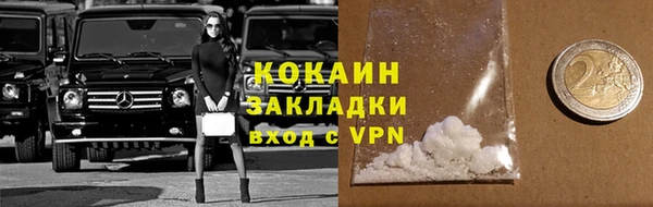 шишки Лабытнанги
