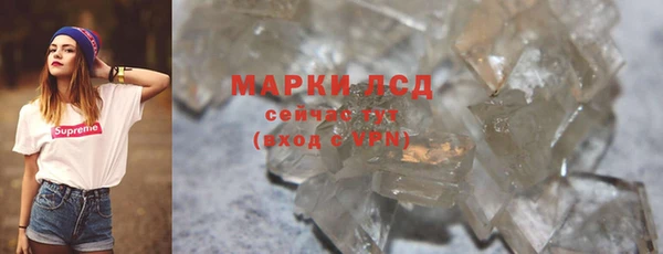 шишки Лабытнанги