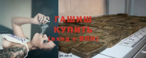 соль ск Краснослободск