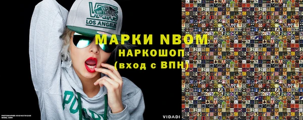 шишки Лабытнанги
