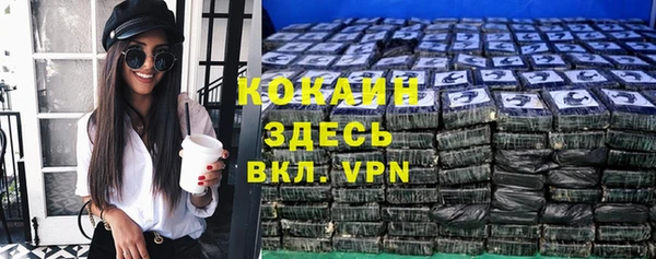 соль ск Краснослободск