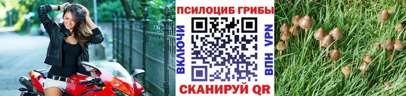 кракен ТОР  Сокол  Псилоцибиновые грибы ЛСД 