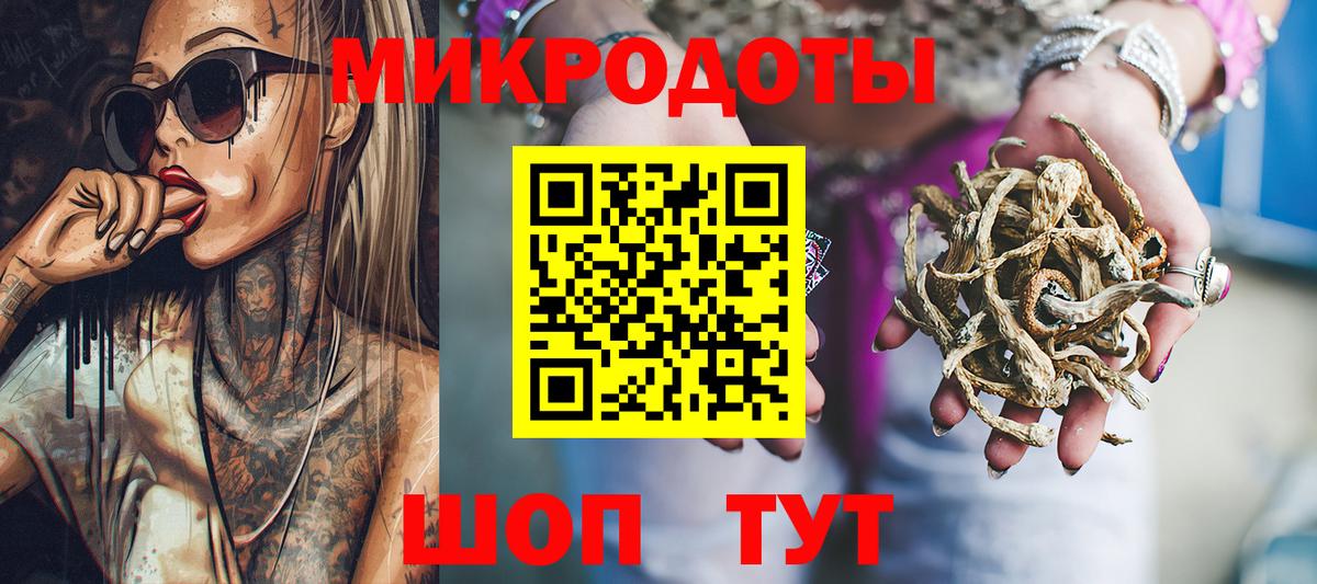 Псилоцибиновые грибы Psilocybe Сокол